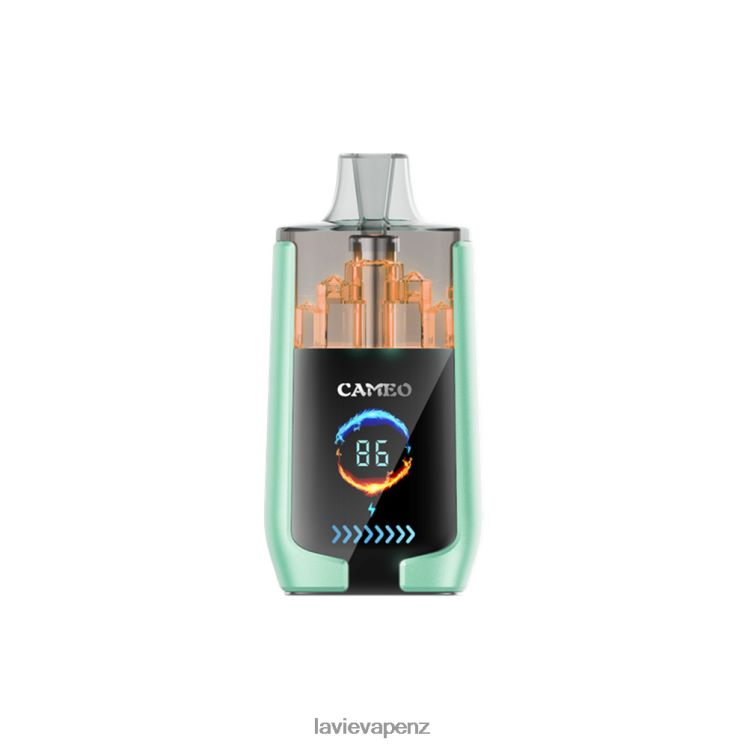 LAVIE CAMEO 30000 Puffs Double Apple - D884D620 Lavie Vape Review