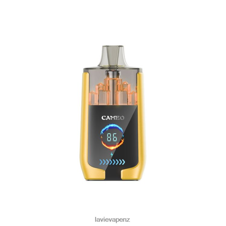 LAVIE CAMEO 30000 Puffs Mango Ice - D884D621 Lavie Vape Shop