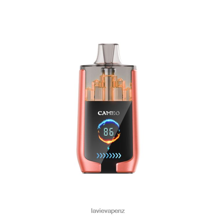 LAVIE CAMEO 30000 Puffs Strawberry Watermelon - D884D624 Lavie E Cigarette