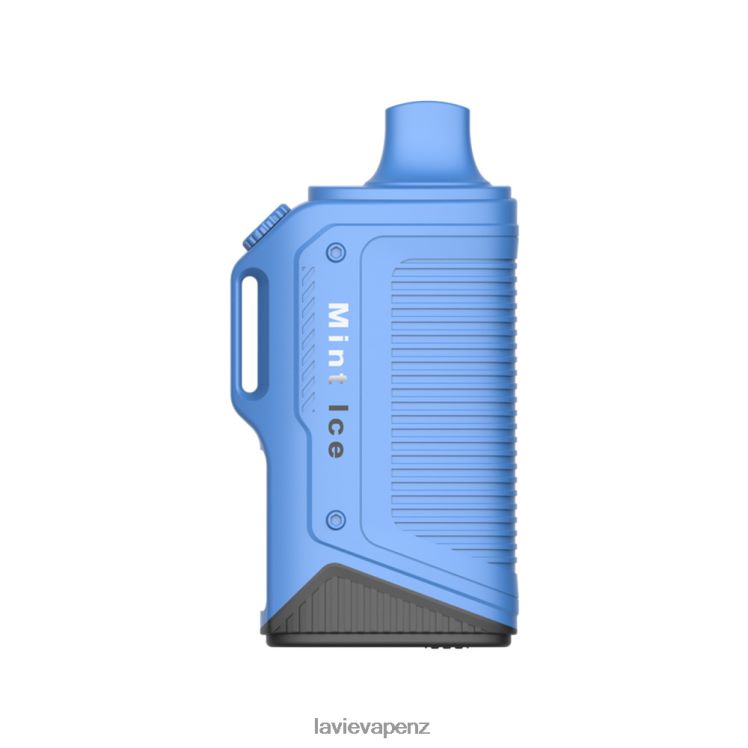 LAVIE Energy Box 15000 Puffs Mint Ice - D884D672 Lavie E Cigarette