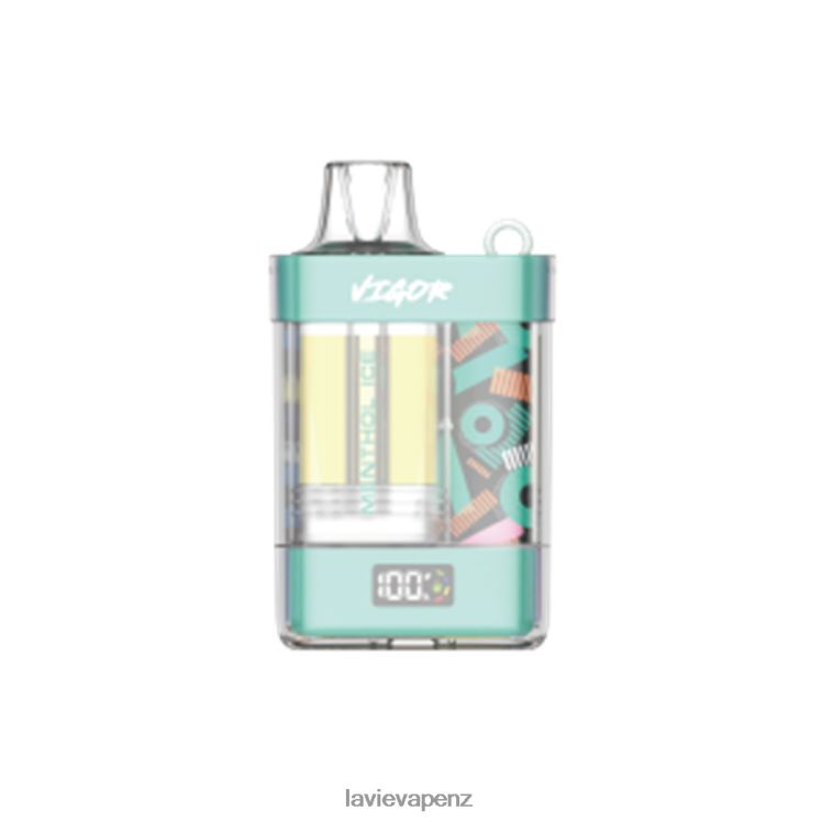 LAVIE VIGOR 15000 Puffs Menthol Ice - D884D62 Lavie Vape NZ